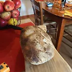 La Casa Degli Amici *